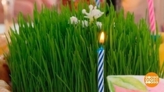 Навруз, праздник весны. Доброе утро. Фрагмент