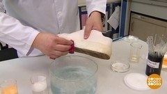 Универсальные очистители: что, правда универсальные? Доброе утро. Фрагмент 