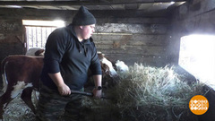 На работу – в село! Доброе утро. Фрагмент