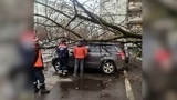 В Москве началась большая уборка после урагана
