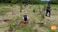 Бразильские «друзья леса». Доброе утро. Фрагмент 