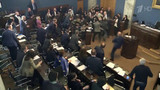 В грузинском парламенте депутаты подрались из-за законопроекта об иноагентах