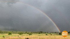 Почему радуга — дугой? Доброе утро. Фрагмент 