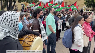 В США студенты массово протестуют и призывают остановить войну в секторе Газа