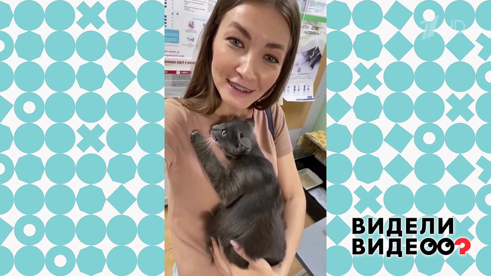 Любимая кошка. Видели видео? Фрагмент выпуска от 05.05.2024