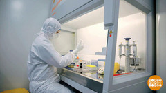 Здравоохранение будущего. Доброе утро. Фрагмент