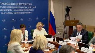 Преступления киевского режима против детей в центре внимания российских сенаторов и депутатов