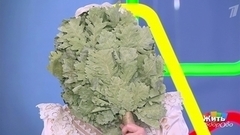 Глупые вопросы про баню. Жить здорово! Фрагмент 