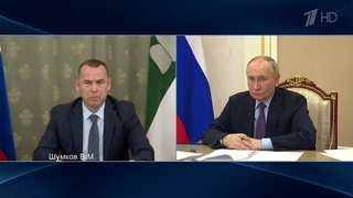 Владимир Путин по видеосвязи провел рабочие встречи с губернаторами Курганской и Липецкой областей