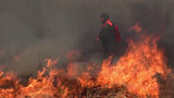 Почти в 50 российских регионах действует особый противопожарный режим