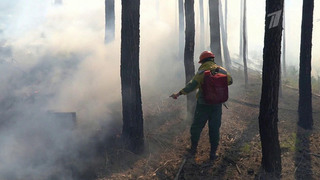 За сутки сотрудники Авиалесохраны потушили почти 70 природных пожаров в российских регионах