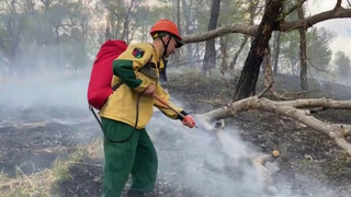 Из-за природных пожаров в Забайкальском крае введен режим ЧС