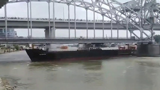 В Ростове-на-Дону многотонный сухогруз врезался в опору железнодорожного моста