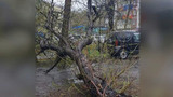 На Камчатку обрушились штормовой ветер и сильный ливень