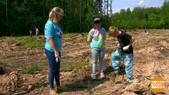  «Удивительный лес». Доброе утро. Фрагмент