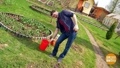 Как уберечь поясницу на грядках. Доброе утро. Фрагмент 