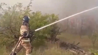 В России за сутки потушили почти полсотни природных пожаров