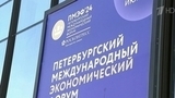 Северная столица готовится к Петербургскому Международному экономическому форуму