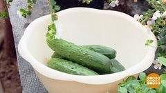Свежие огурчики: маринуем, солим, жарим! Доброе утро. Фрагмент