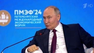 СМИ разбирают на цитаты выступление Владимира Путина на пленарной сессии ПМЭФ
