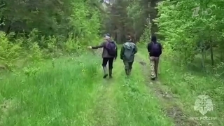 В Свердловской области волонтеры нашли детей, которые заблудились в лесу