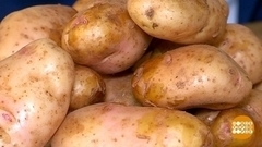 Картошка, посмотри мне в глаза! Доброе утро. Фрагмент 