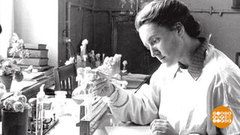 Они приближали Победу. Медицина в годы Великой Отечественной. Доброе утро. Фрагмент 