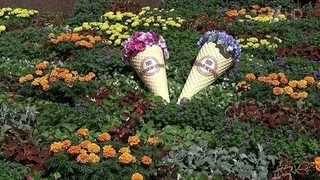 В Москве уже традиционный Фестиваль цветов преобразил ГУМ и всю площадь