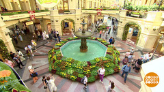 Весь ГУМ — в цветах! Доброе утро. Фрагмент