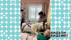 Пони-терапевт. Видели видео? Фрагмент 