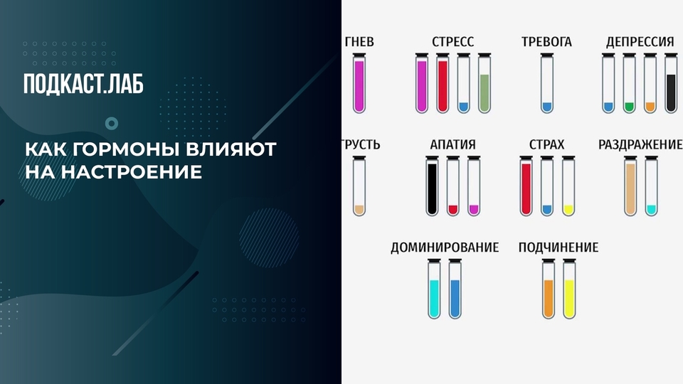 Как гормоны влияют на настроение. Обман веществ. Фрагмент выпуска от 07.07.2024