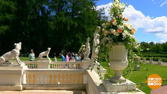 «Фестиваль роз и ботанических затей» в Архангельском. Доброе утро. Фрагмент