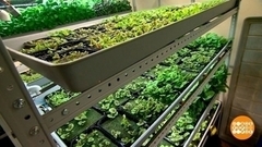 Свой бизнес в городе: есть идеи! Доброе утро. Фрагмент 