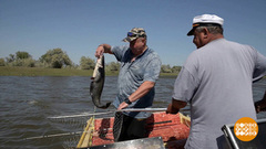 Рыбачим всей страной. Доброе утро. Суббота. Фрагмент 