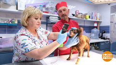 Миссия — творить добро! Доброе утро. Фрагмент 