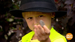 Камешки? Сокровища! Доброе утро. Фрагмент 