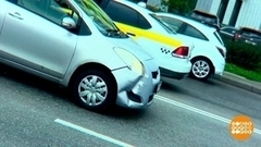 Водитель, смотри в оба: лоси ПДД не изучают! Доброе утро. Фрагмент