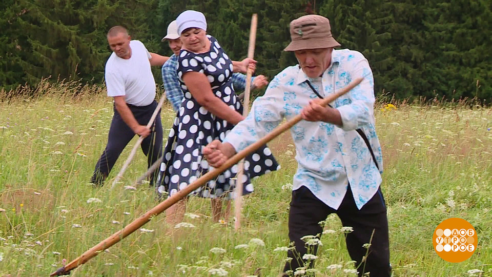 Коси, коса, пока роса! Доброе утро. Суббота. Фрагмент выпуска от 20.07.2024