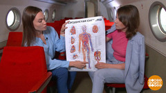 Готовимся к дальней дороге. Доброе утро. Фрагмент