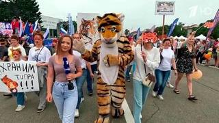 В Приморье отмечают Международный день тигра