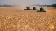 Хлеб — всему голова! По всей стране. Доброе утро. Фрагмент 