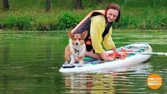 Двое на сапе, считая собаку. Доброе утро. Фрагмент 