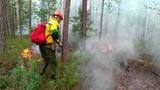 В Якутии огнем охвачены 600 тысяч гектаров леса