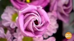 Стандарты красоты: сплошная математика? Доброе утро. Фрагмент