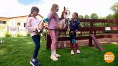 Хоббихорсинг: вот такой прыг-скок… Доброе утро. Фрагмент 