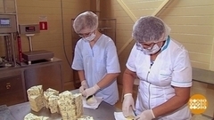 Откуда берется плесень? Доброе утро. Фрагмент