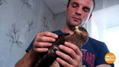 Птичку жалко. Надо спасти. Доброе утро. Фрагмент