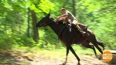 Рабочее место — лес. Доброе утро. Суббота. Фрагмент