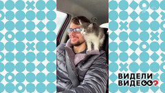 Спасение Снежинки. Видели видео? Фрагмент