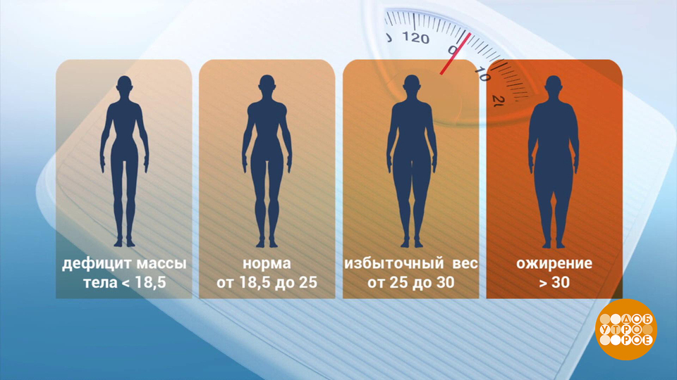 Ожирение: все дело в генах? Доброе утро. Фрагмент выпуска от 24.09.2024